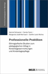 Professionelle Praktiken - Ethnografische Studien zum pädagogischen Alltag in Kindertageseinrichtungen und Kindertagespflege